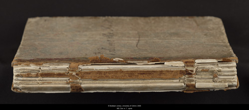 Image for page: Spine of manuscript: blvolfirst